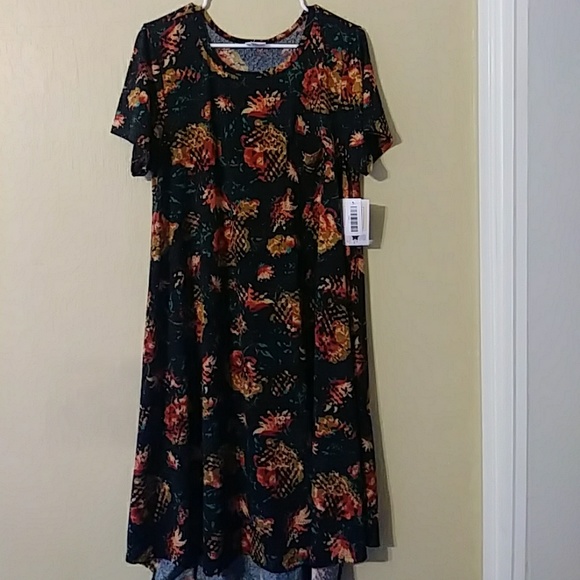 LuLaRoe Dresses & Skirts - 🍂🍃🍁LuLaRoe Carly NWT large